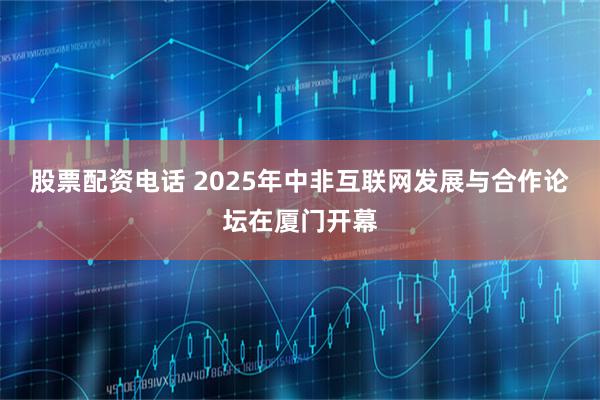 股票配资电话 2025年中非互联网发展与合作论坛在厦门开幕