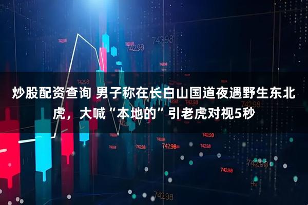 炒股配资查询 男子称在长白山国道夜遇野生东北虎，大喊“本地的”引老虎对视5秒
